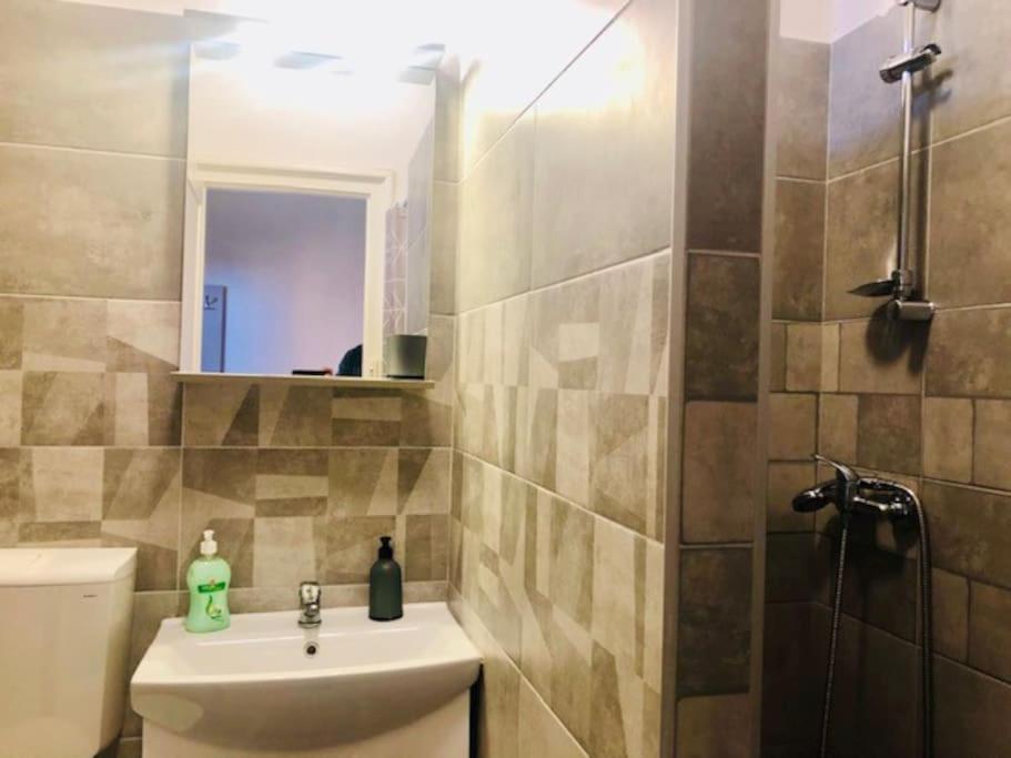 Joy City Stay Colonel Enescu 3 Тимишоара Экстерьер фото