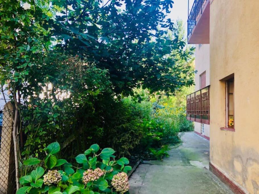 Joy City Stay Colonel Enescu 3 Тимишоара Экстерьер фото